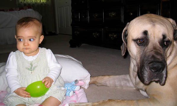 1-1/2 years old, pictured with 
Natalie at 8-9 months old