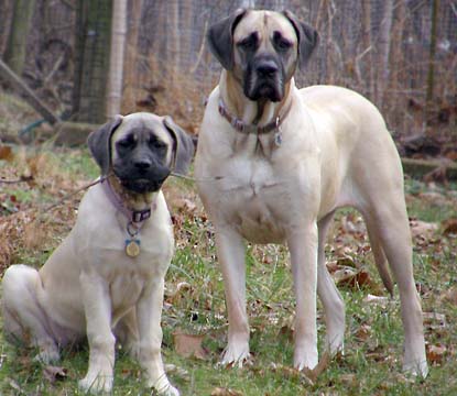 3 months old with her sister at 3 years old